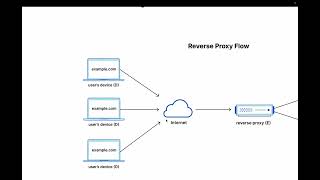 Forward Proxy & Reverse Proxy - Explained