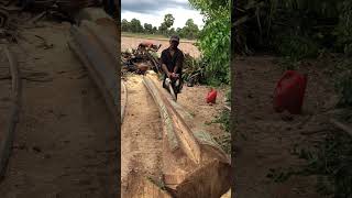 チェーンソー Chainsaw Stihl #chainsaw #stihl #stihl070 #machine #Shorts #YouTubeShorts #Viral #ViralShorts