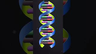 BABY RECEIVES FIRST-EVER DNA PATCH TO CURE DEADLY GENETIC DISORDER #DNAEditing #GeneTherapy
