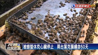 向閻羅王搶命！心臟停50天葉克膜續命－民視新聞