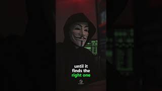OTP bypass Part 2 #hack #hacker #computer #cybersecurity #hacking #kalilinux #cyber #anonymous #kali