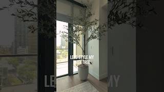 This OLIVE TREE is the PERFECT add on to my LIVING ROOM 🌿 #shorts #homedecor #luxuryapartment