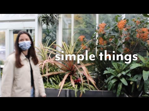 Seattle Vlog: mushroom hunting & other things
