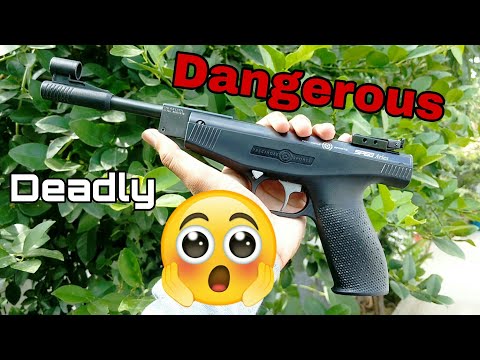 Precihole SP60 Aries Air Pistol | Unboxing & Review