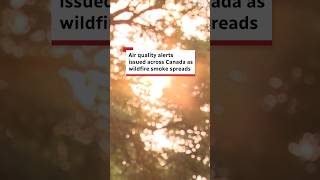 Air quality alerts issued across Canada as wildfire smoke spreads