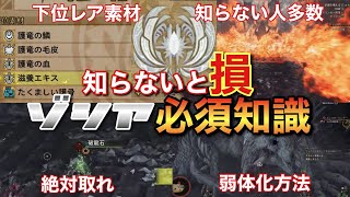 アプデ後強化ゾシア絶対覚えるべき要素！【モンスターハンターワイルズ】