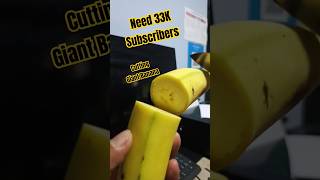 ▶️ Need 33K subscribers // Cutting giant Banana #ジブリ #jp #https