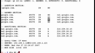 Domain Information Groper ( Dig ) Basics
