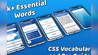 CSS  Vocabulary and CSS Pro Guide