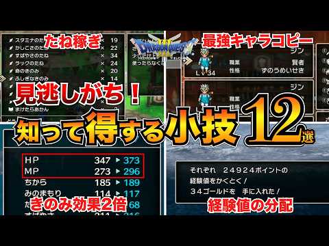 【ドラクエ3リメイク】意外と知らない？見逃しがちな小技12選！たね稼ぎ/経験値分配/あなほり【HD-2D】