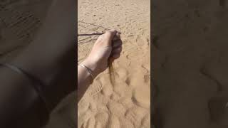 Sam dunes #samdunes #rajasthan #jaisalmer #travel #desert #shorts #youtube #sand