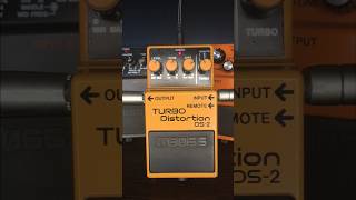 Boss DS-2. no talking, just distortion! #boss #guitar #distortion