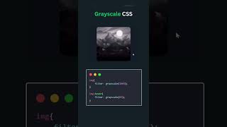 🎨 Grayscale Magic with CSS3: Transform Your Images! 💻✨||#shorts #shortsvideo #animation #htmlcssjs