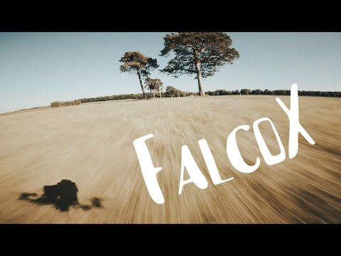 I've finally done it... Juicemode 2, FalcoX & 6S ~ FPV Freestyle