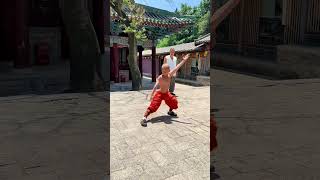 在少林习练少林基本功#武术#傳承 #shorts