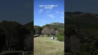 山北つぶらの公園まつり 2024年11月9日 #shorts #神奈川県 #山北町 #山北つぶらの公園まつり