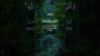 SOOTHING QURAN RECITATION💚