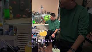 新手养鱼指南死鱼的群体事件 #死鱼 #新手养鱼 #开缸
