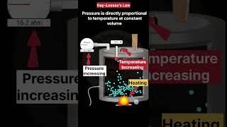 Gay-Lussac's Law #shortsfeed #chemistry #physics #practical #animation #scienceanimation #gaslaws