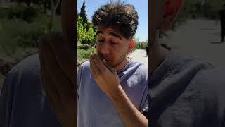 بهترین زبان برنامه نویسی از نظر دانشجو ها