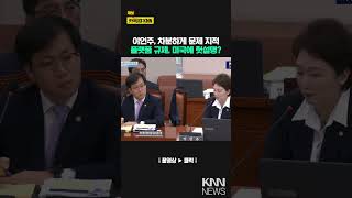 Ian Joo, calmly pointing out the problem, platform regulation, false explanation to the US? / KNN
