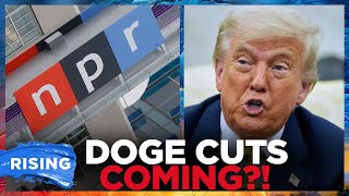 Senate PASSES DOGE Cuts To NPR, PBS; Trump BLASTS ‘Stupid Republicans’ Over Epstein | RISING