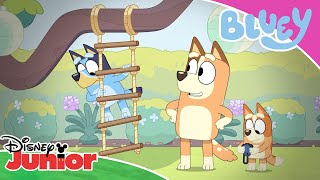 The Obstacle Course 💨 | Bluey 💙 | Disney Junior Arabia