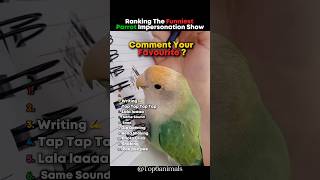 Ranking The Funniest Parrot Impersonation show 🤣 #ranking #parrot #funnyvideo