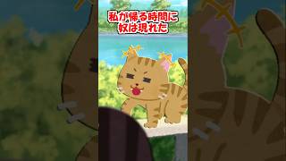 【2ch】実家の2代目猫は不思議な猫だった…【アニマル】 #Shorts