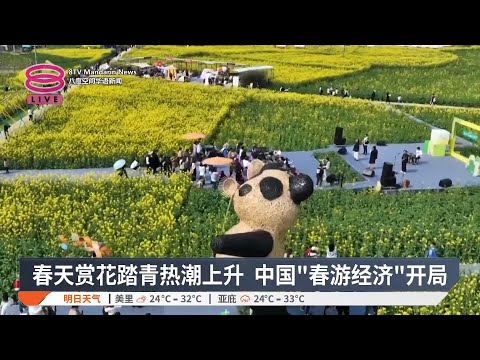 春天赏花踏青热潮上升  中国"春游经济"开局【2025.03.14 八度空间华语新闻】