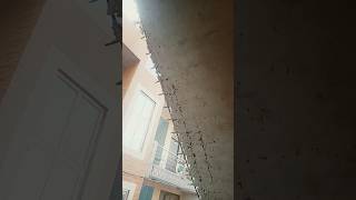 provide proper cover to RCC structure | House construction mistakes | BuildTech |