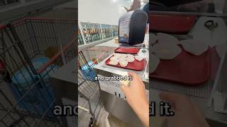 How many Costco samples can you take before getting BANNED?