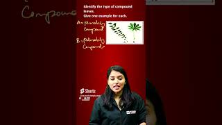 2 Mark Very Very Important Question   #plusone #biology #examwinner 3
