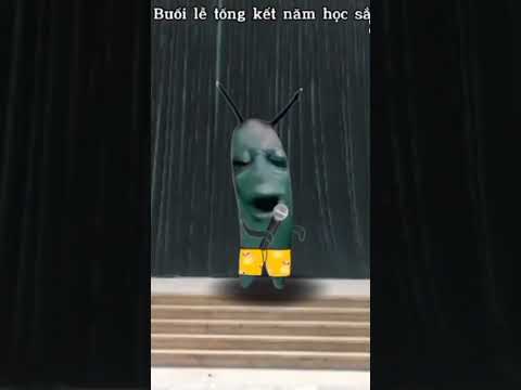 trường tôi👌💀 #dexuat#capcut#funny#school