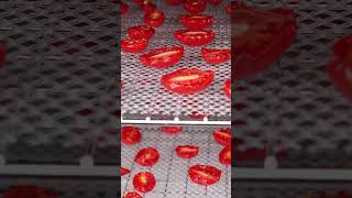 Sahara Dried Tomatoes