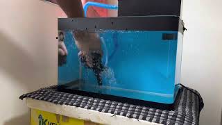 Testing the power of SOBO WP-780F aquarium filter pump (Top Filter)