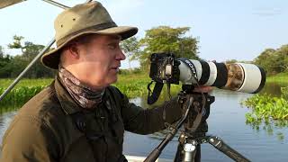 Pantanal Safaris Tour | Jaguar Photo Safari | Wildlife Photo Safari | Pantanal, Brazil