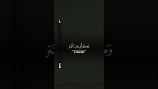 #quranrecitation #quranlines