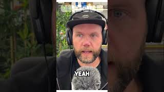 Free Work vs. Paid Projects?