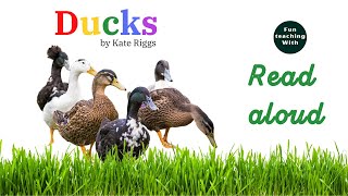 [Read aloud] Duck | children's book | kids reading | Kinder book | 오리 |  영어동화