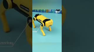 Dog 🐕 robot #shorts