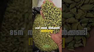 Cardamom Supply | Export | Idukki