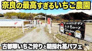 【感動】夫婦で営むいちご農家さんの朝採れ苺パフェが絶品すぎた！