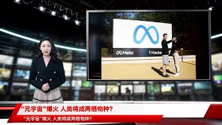 “元宇宙”爆火 人类将成两栖物种？