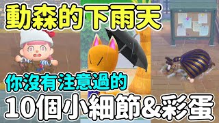【Anny動森彩蛋】雨天的動森你沒有注意到的10個細節&彩蛋【動物森友會】