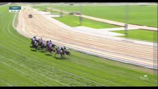 17TH FEBRUARY H H AMIR SWORDS DOHA QATAR BIG RACE DAY