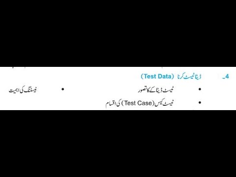 1.4 Test Data   #testing #sqa #9thclass #biselahore #bise #computerscience #punjabboardexams