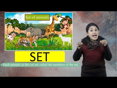 WHAT IS SET?
