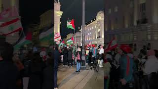 #freepelastine #freegaza #ceasefireingazanow  #picadillycircus #peacefulprotest #zzonthego