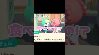 おやつ食べてないミッチェルにおやつを！！！#あつ森 #どう森 #どうぶつの森 #あつまれどうぶつの森 #shortvideo #shorts #short